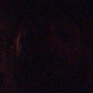 Meet your Posher, Greg